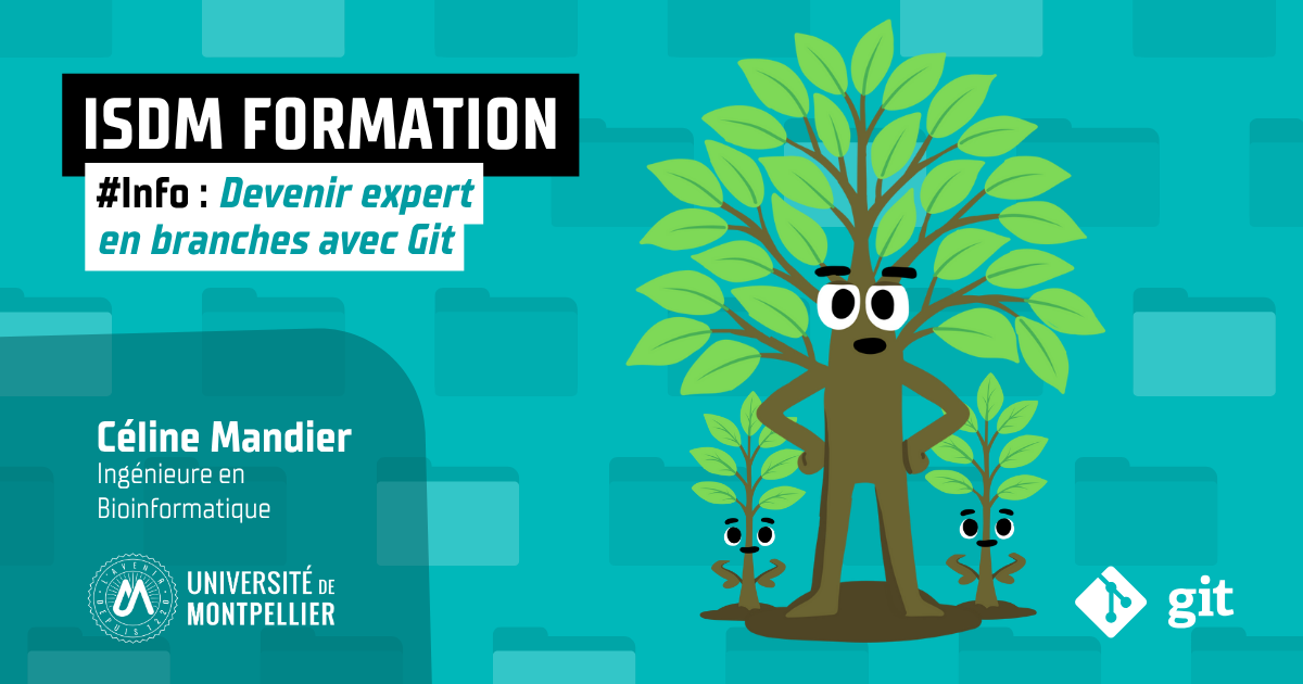 INFO : Devenir expert en branches avec Git