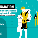 STAT : Sélection de variables en analyse exploratoire - Régression régularisées, Arbres et Forêt aléatoire